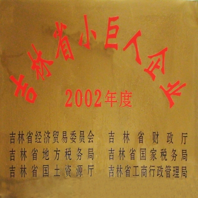 吉林省小巨人企業(yè)